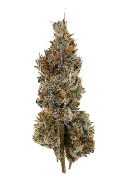 Product Advanced Cultivators | Mexican Haze | Flower