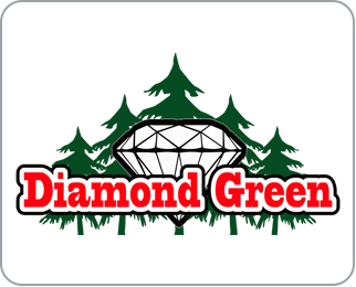 logo for Diamond Green