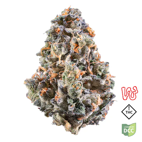 Permanent G | 5.66g-1