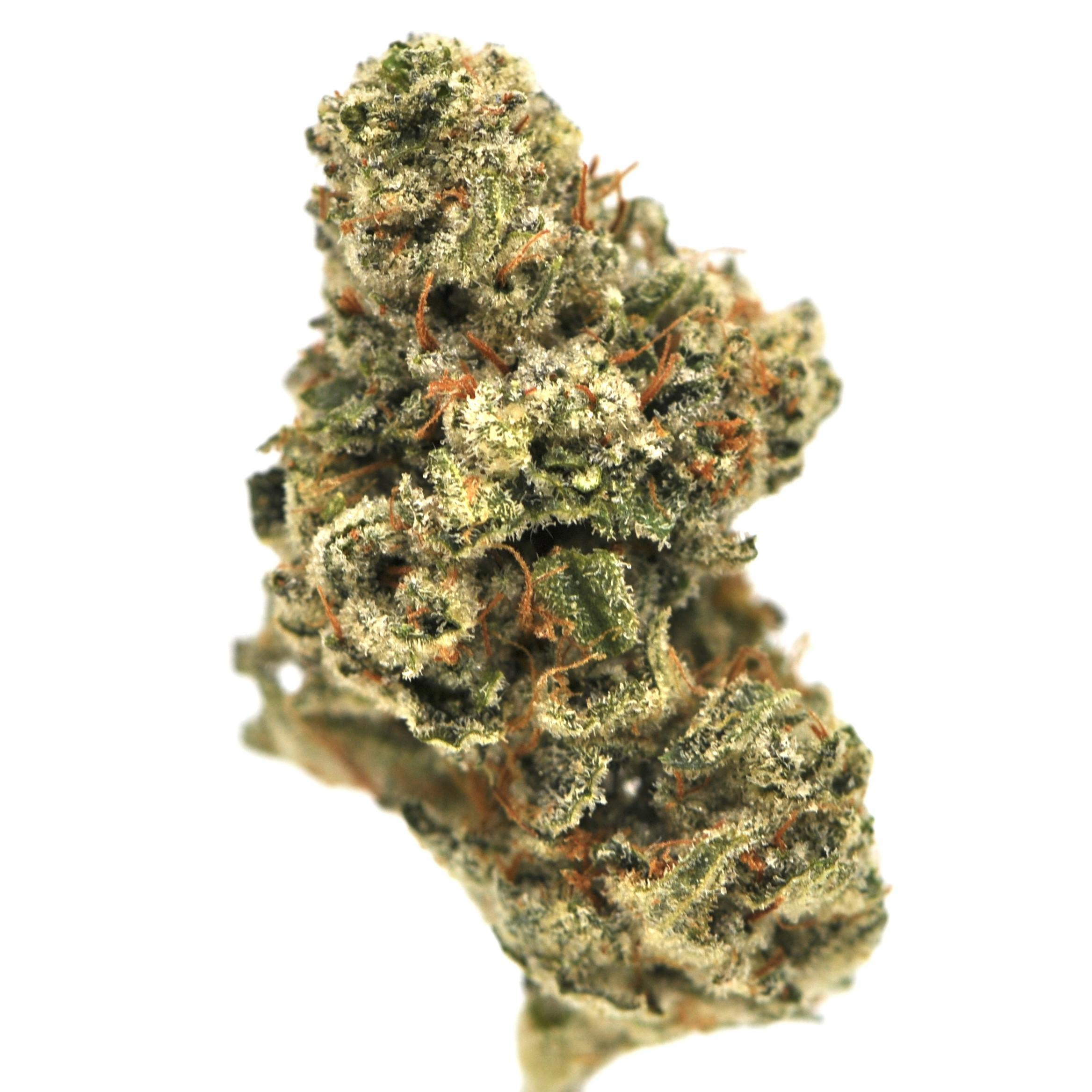 image of Gorilla Glue #4 | 3.5g Prepackaged Flower