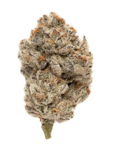 Rolling Green | Flower | Goof Off | 3.5g-1