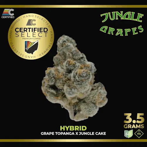 Certified Cultivators | Concrete Jungle (Buds) | 3.5g | Hybrid-active
