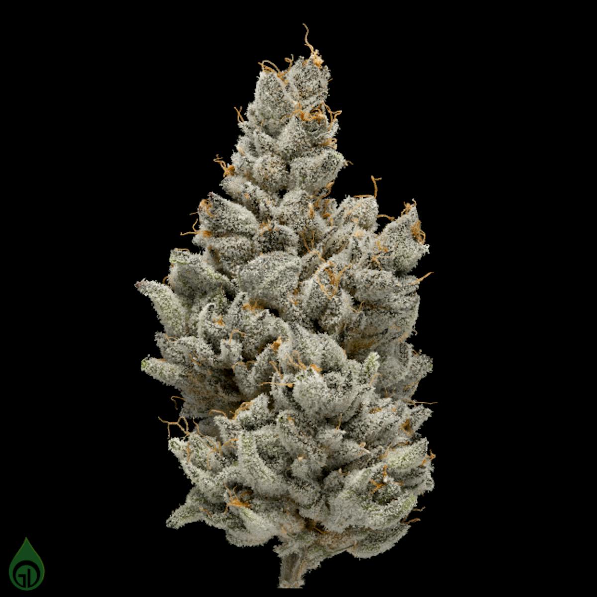 Photo of Green Dot – Pre-Packed – Bourbon Street (H)