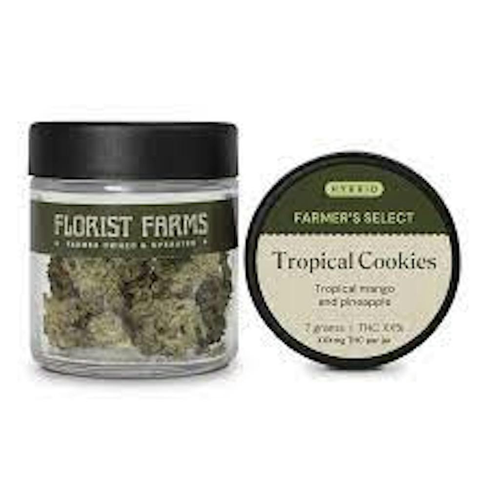 Product Flower | Tropical Cookies (H) Florist Farms