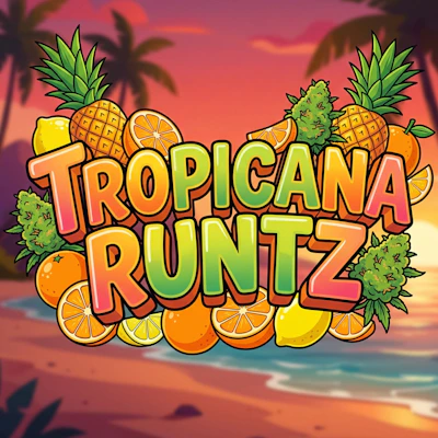 DELI - Tropicana Runtz - FLOWER by RedFox at King of Budz