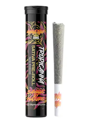 Jungle Juice Tropicanna Preroll Rec-active
