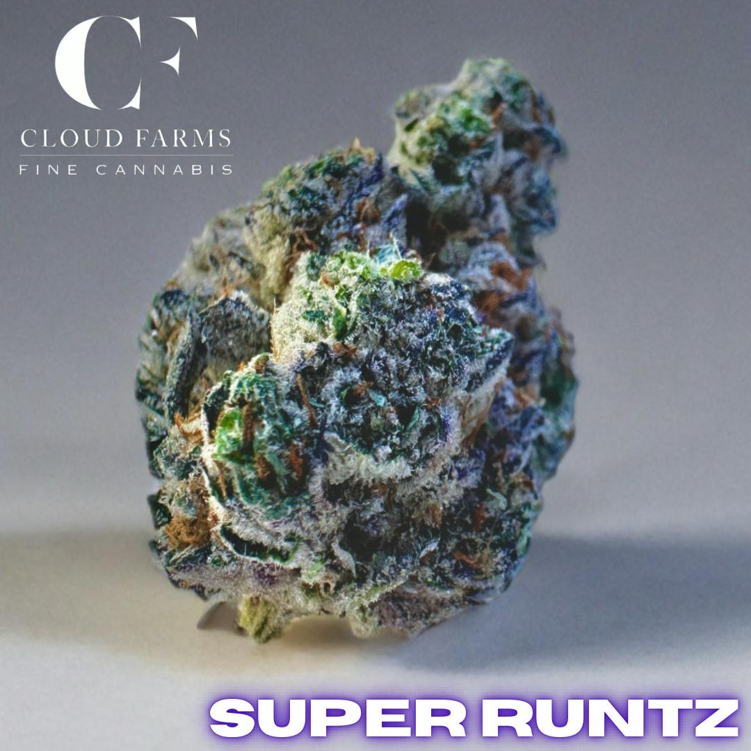 Product: Cloud Farms | Bulk Bud - Super Runtz