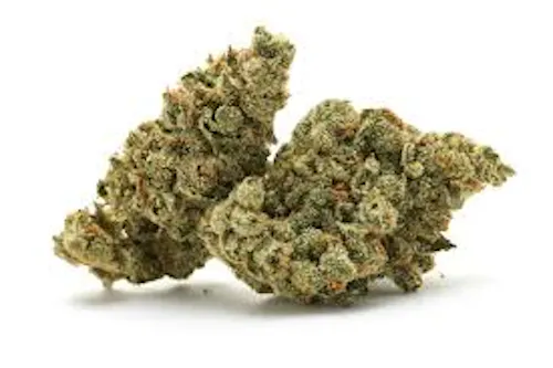 F-Golden Cream 28g Littles-I-1