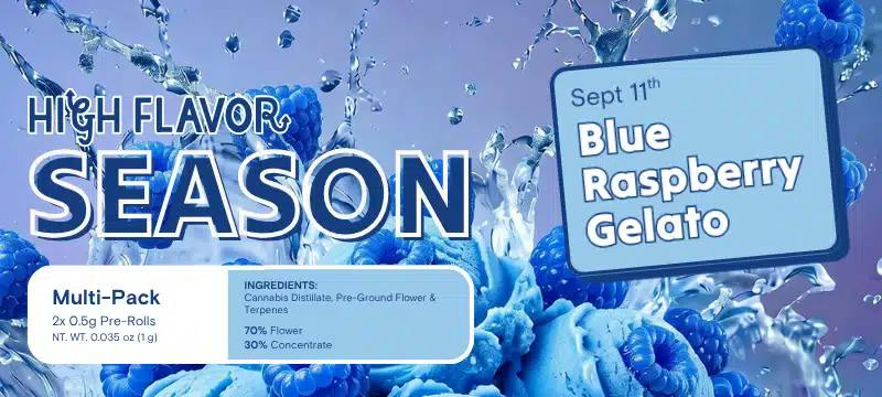 High Flavor Blue Raspberry Gelato Infused Pre-Rolls Available 9/11