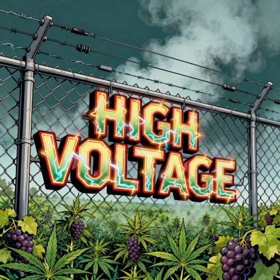 DELI - High Voltage