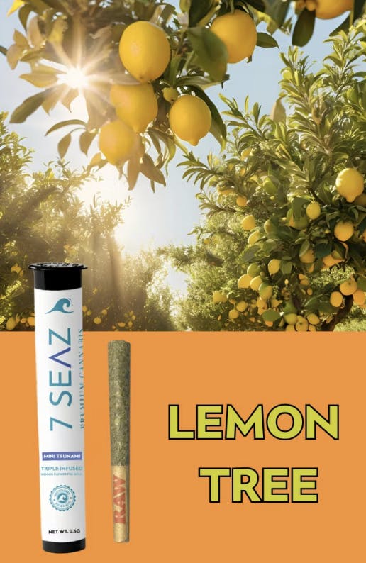 Product Infused Preroll Mini Tsunami | Lemon Tree (H) | 0.6g | 7 Seaz