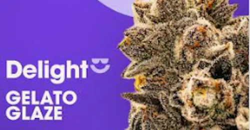 Gelato Glaze  – Flower 3.5g-active