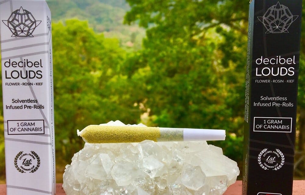Photo of LOUD Jiffy Gelato Infused Joint (Decibel)