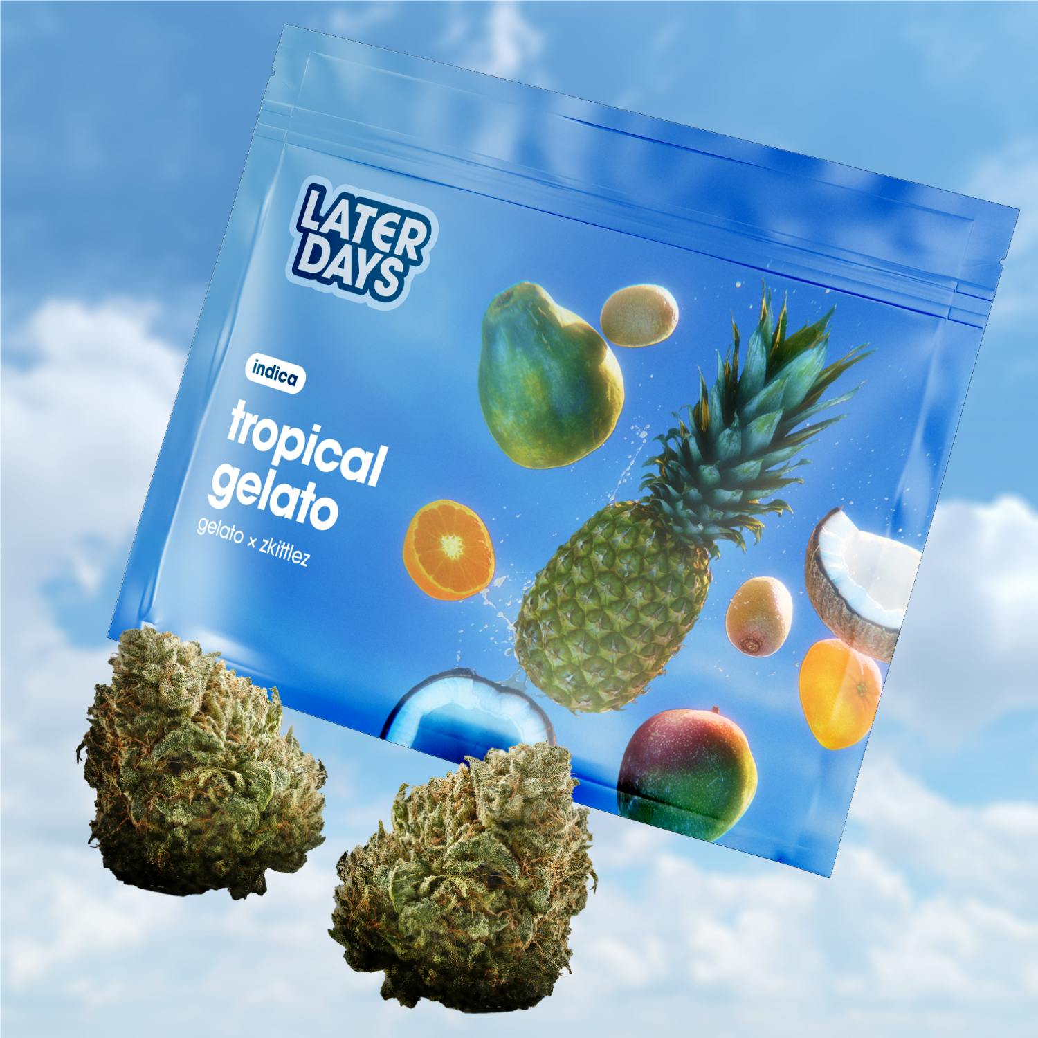 Later Days Tropical Gelato