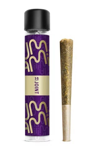 Umamii | GMO Joint