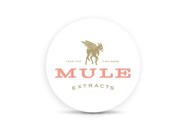 Image of Mule Extracts | Blackberry Elderberry CBD Gummy