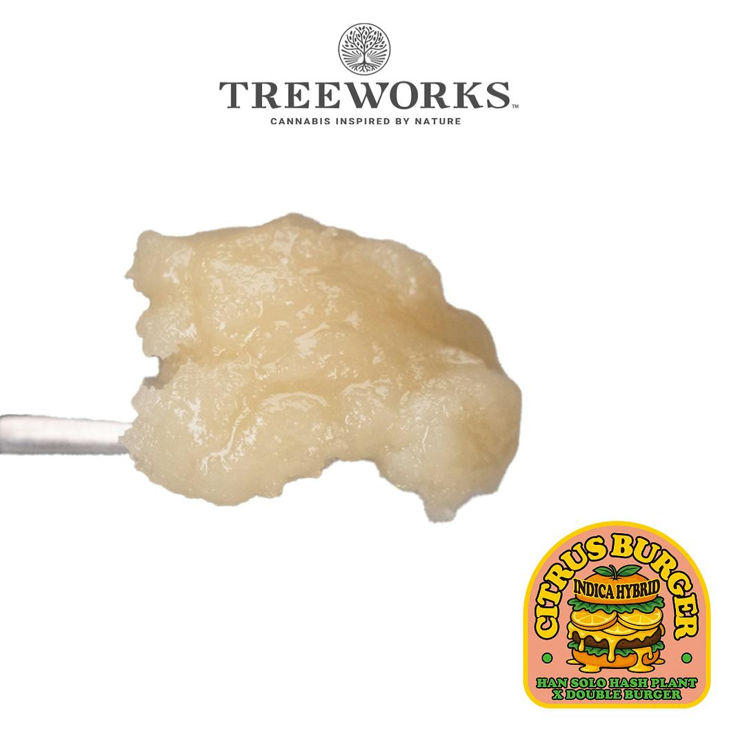 Live Rosin | Citrus Burger [1g]