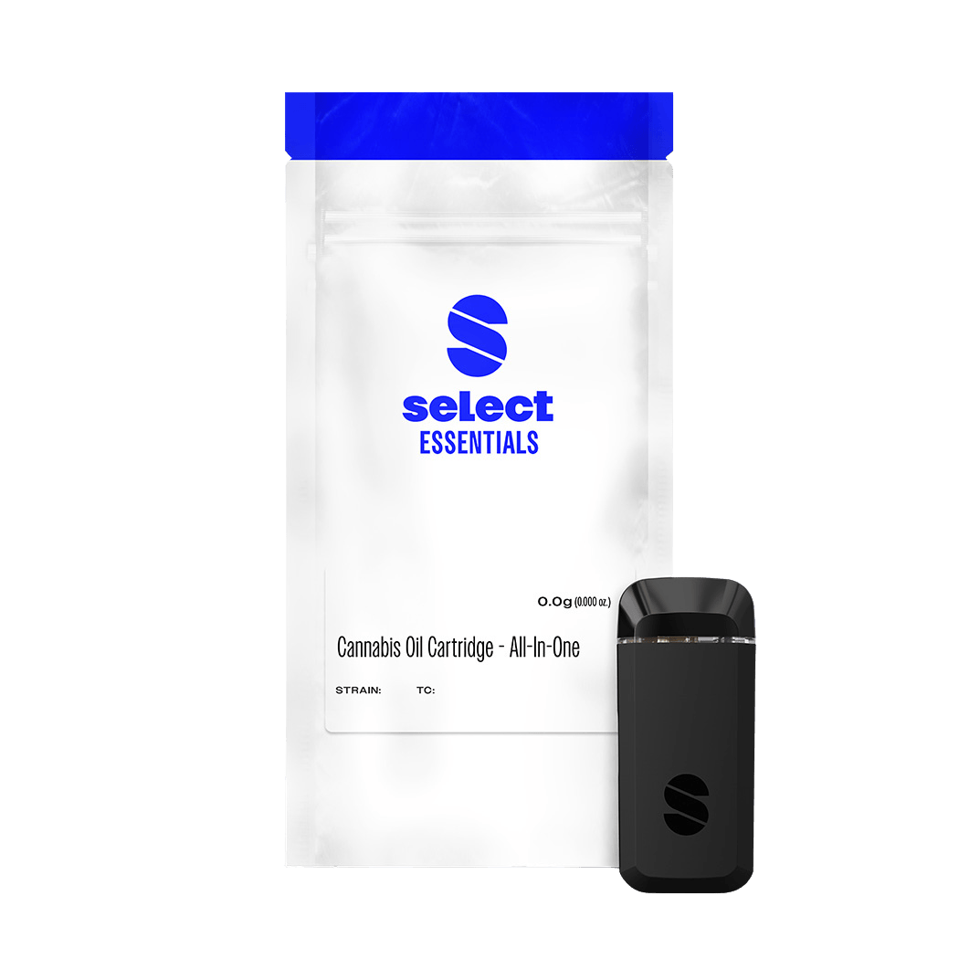 Rainbow Belts | Briq Disposable