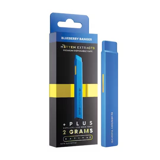 Gas Hunters Rainbow Runtz Disposable - Puff Cannabis Dispensary in MI