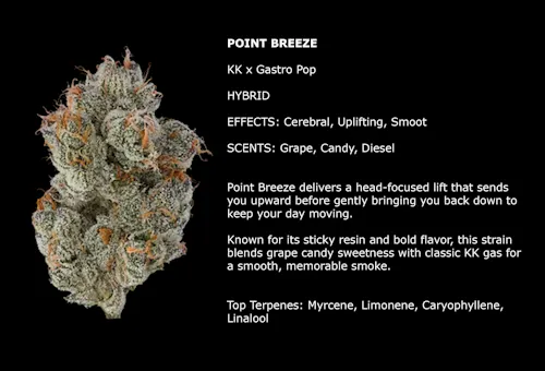 Point Breeze-2