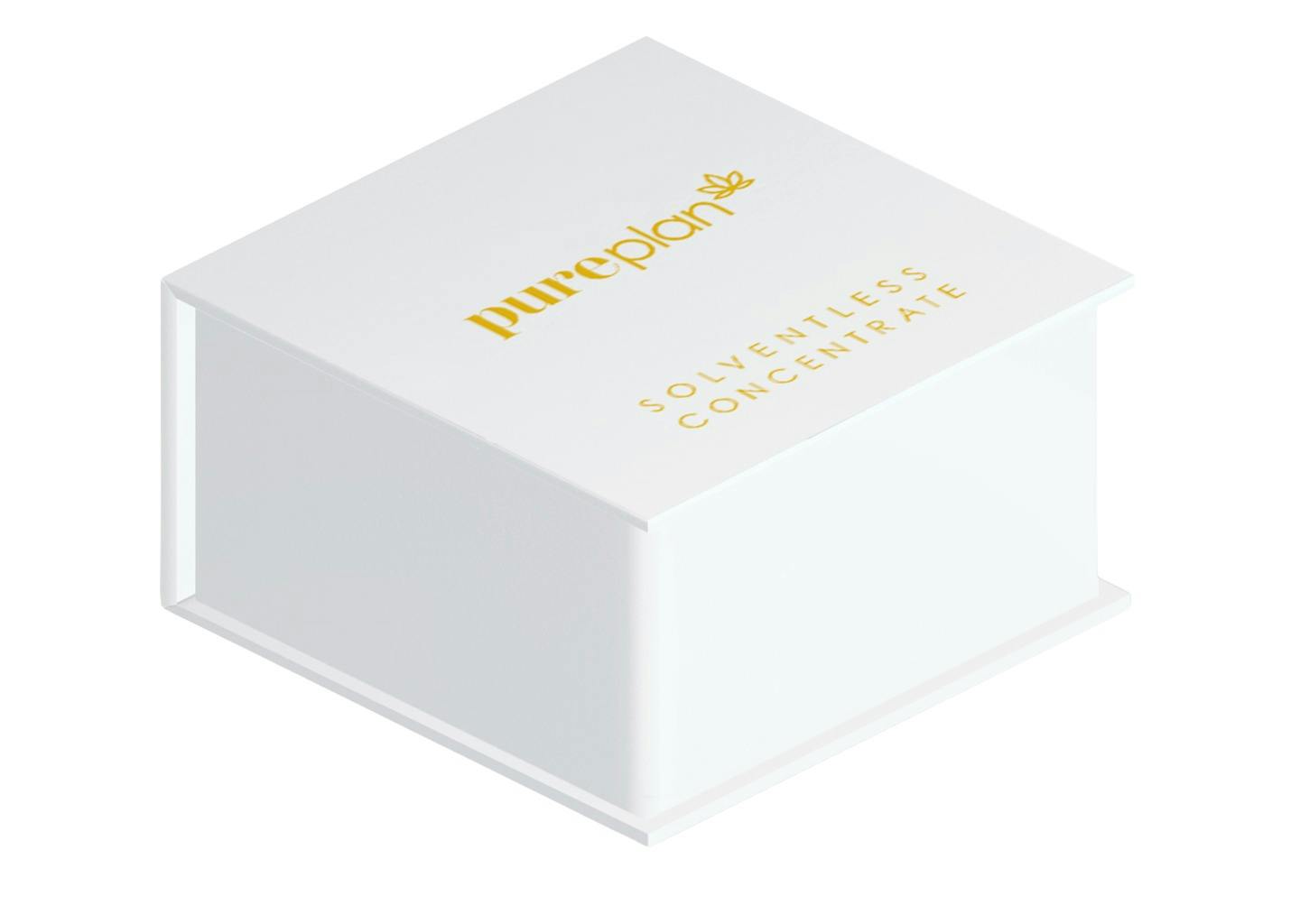 Dulce de Papaya | Rosin | Jam