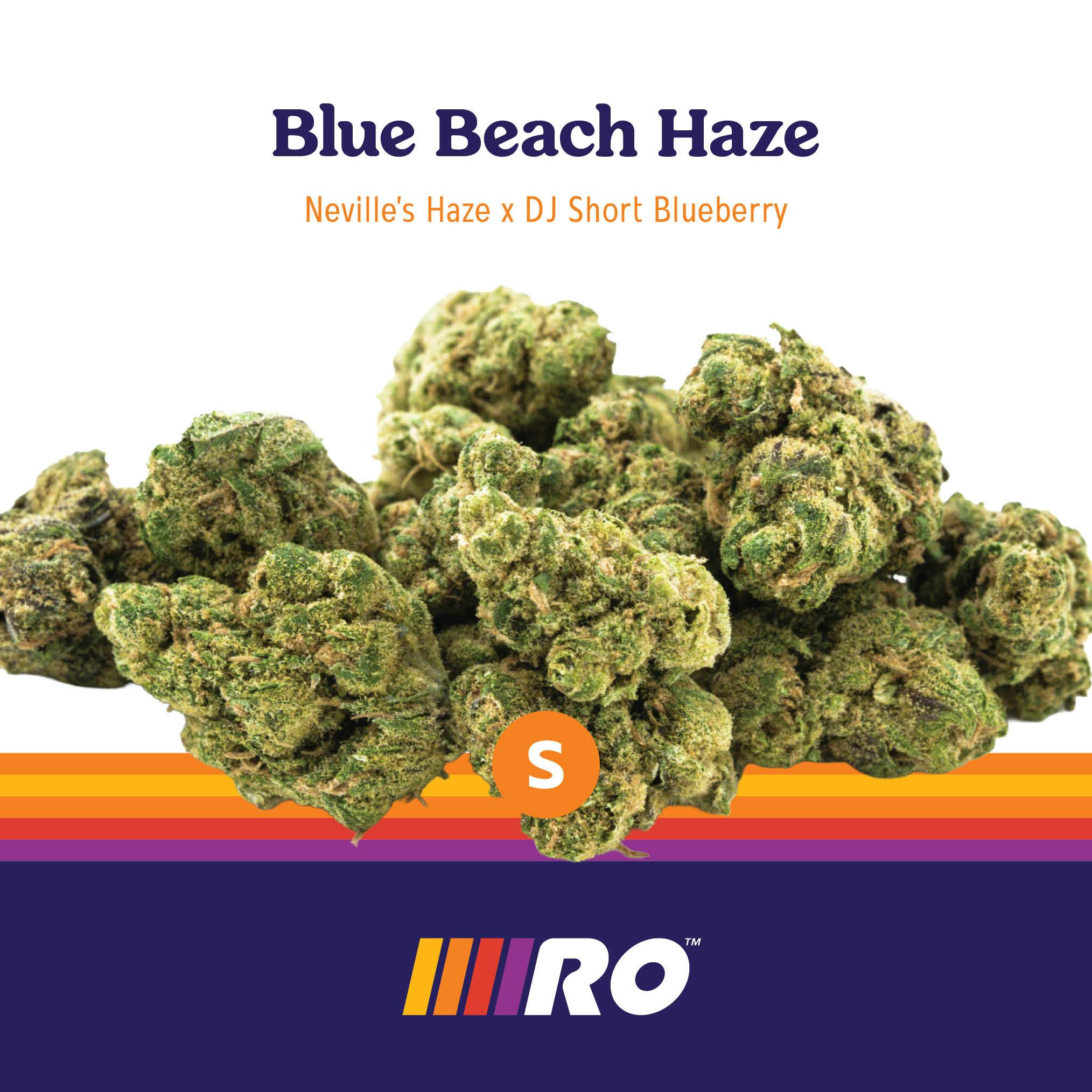 Blue Beach Haze Smalls