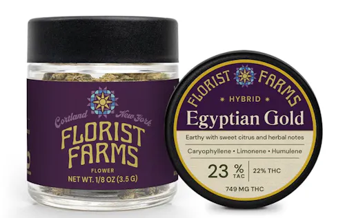 Egypt Gold | Flower | 3.5g-1