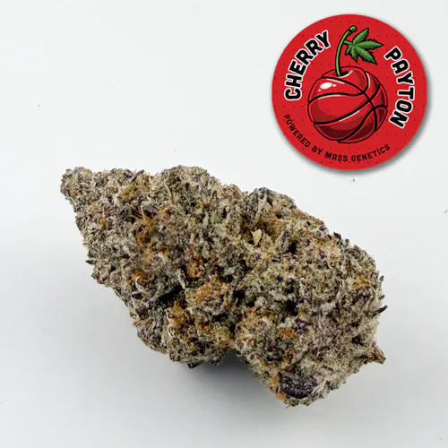 Cherry Payton (H)  **Not Included in Mass Genetics Monday**-active