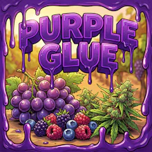 DELI - Purple Glue - FLOWER by High Minded at King of Budz