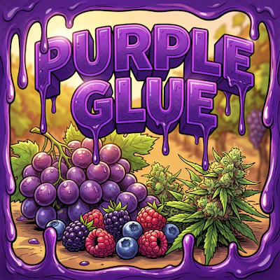 DELI - Purple Glue - FLOWER by High Minded at King of Budz