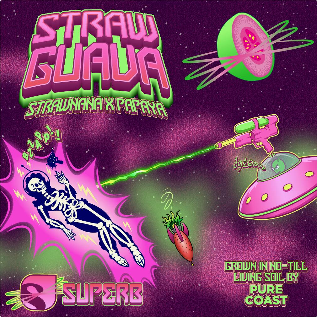 Strawguava Rosin