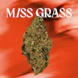 Miss Strawberry Fast Times