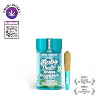 Sour Tsunami Baby Jeeter Infused Pre-Roll 5-pack | 2.5g - product image at King of Budz