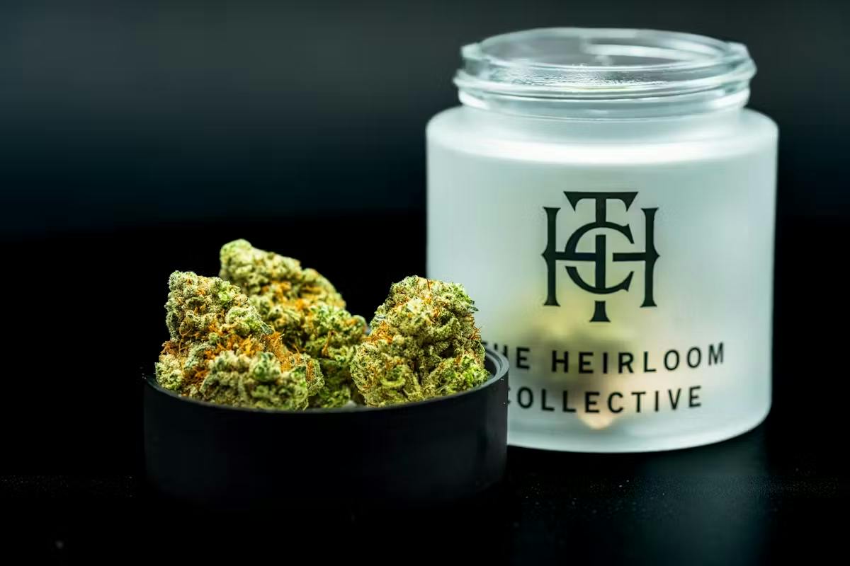 Product Grape Pie Bx1 | Flower | 3.5g