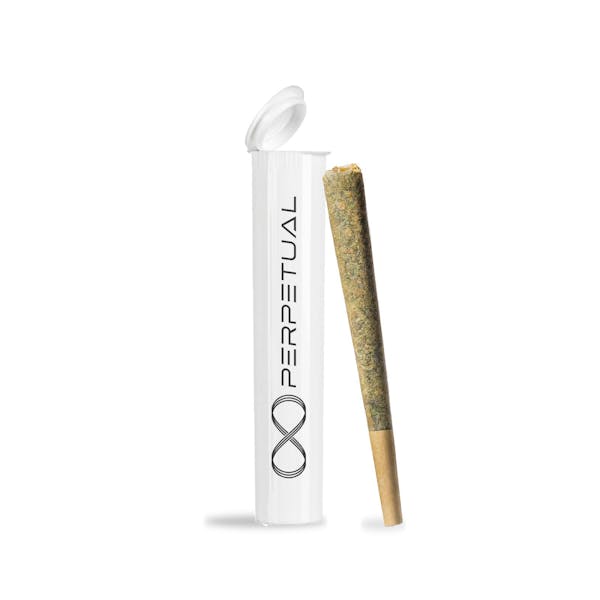 Indian Landrace (I) - 1g Pre-Roll - Perpetual