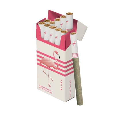 Birdies Sativa Preroll 10 Pack Cannabis for sale Phoenix AZ - Sol