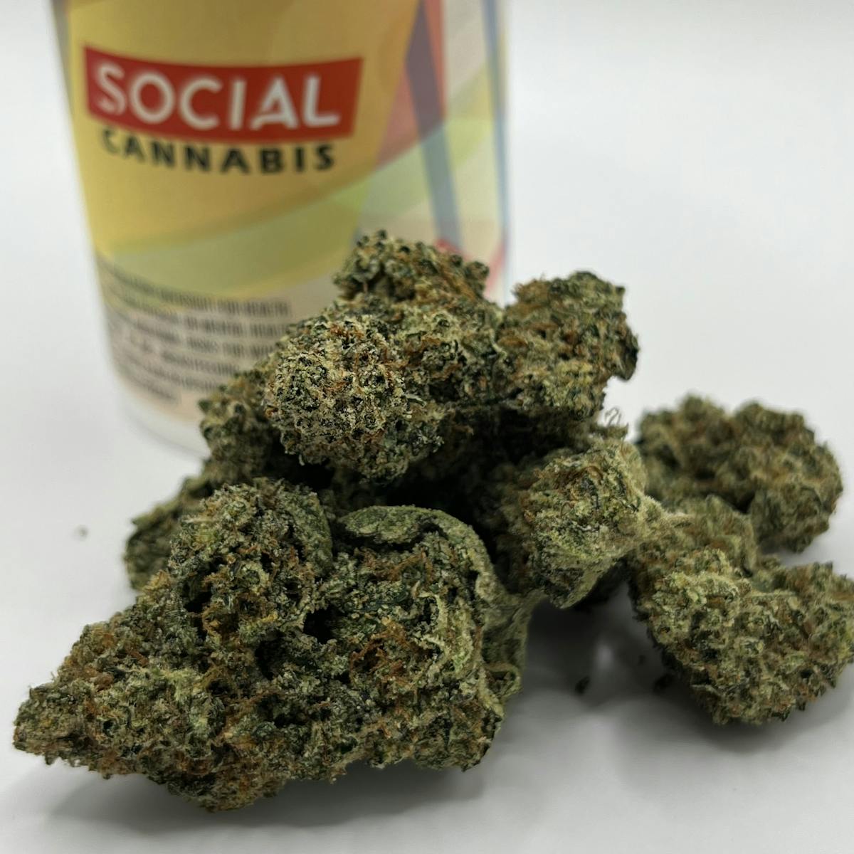 Photo of Platinum Shelf – Jennys Kush (S)