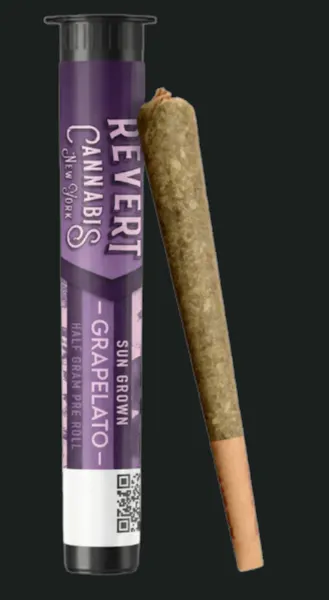 cigarette style pre rolls Free Boy 55 Count Classic Pre-Rolled Tubes, 84mm Natural Slow-Burning Tubes, Natural Unbleached Tubes for a Pure and Smooth Taste : Health & Household Cannabis Pre-Roll Online Dispensary |