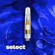 Legacy Series Briq Tropical Skunk Disp