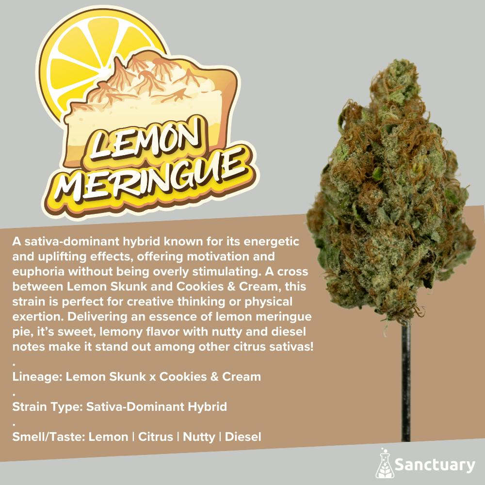Lemon Meringue Flower | 28g - Sanctuary Medicinals