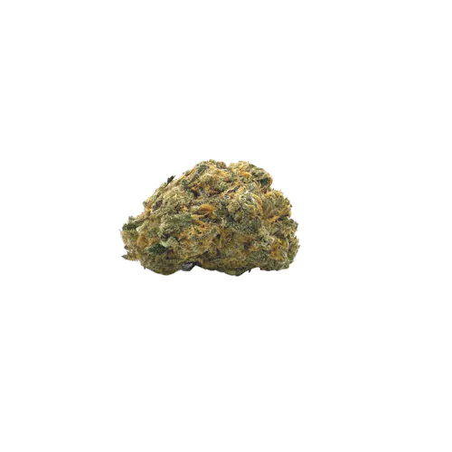 Curio Jack Herer Exclusive Flower-1