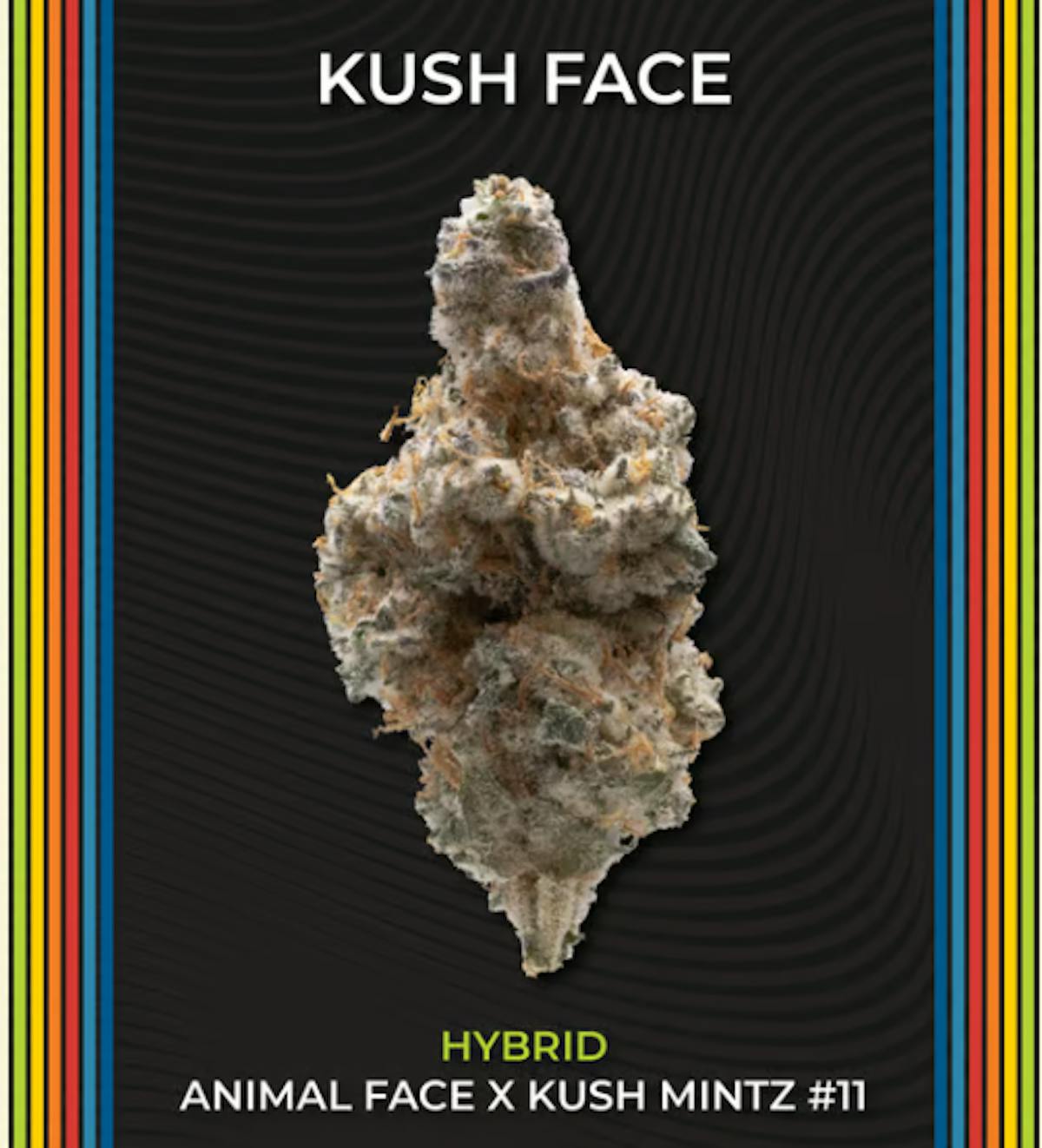 Photo of Kush Face #1 Select