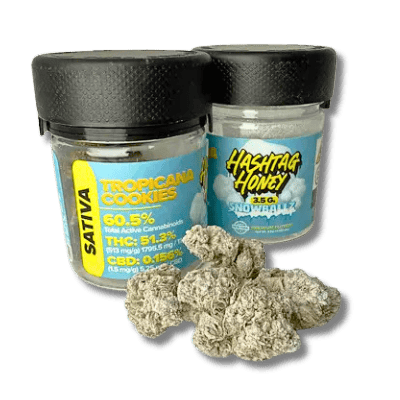 Kaya Bliss - Bay Ridge