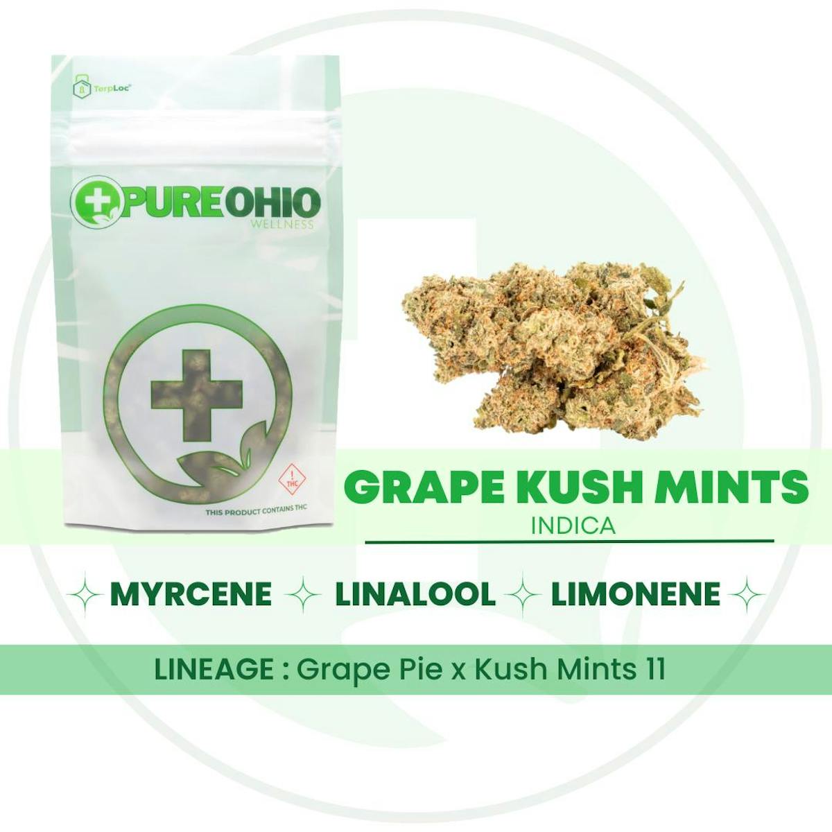 Photo of Grape Kush Mints