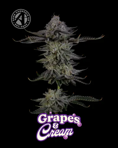 Grapes N Cream | 3.5g-active