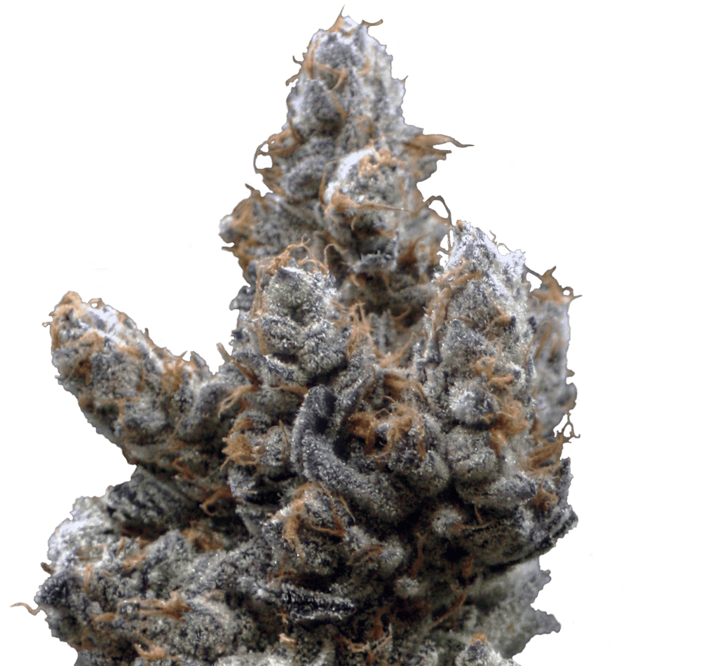 Product Melted Marshmallowz | Deli Style