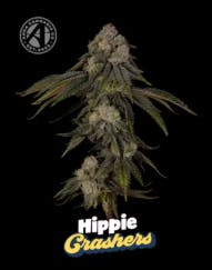 Product: Hippie Crashers [3.5g]
