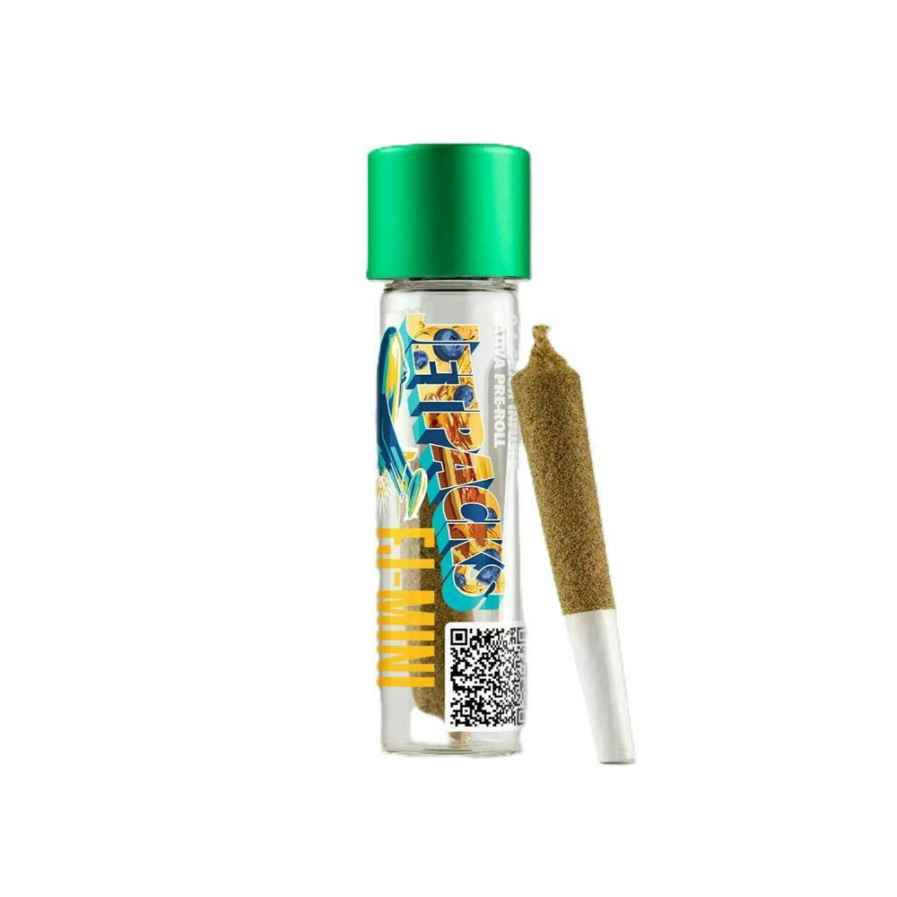 Jetpacks FJ Mini Blueberry Pancakes