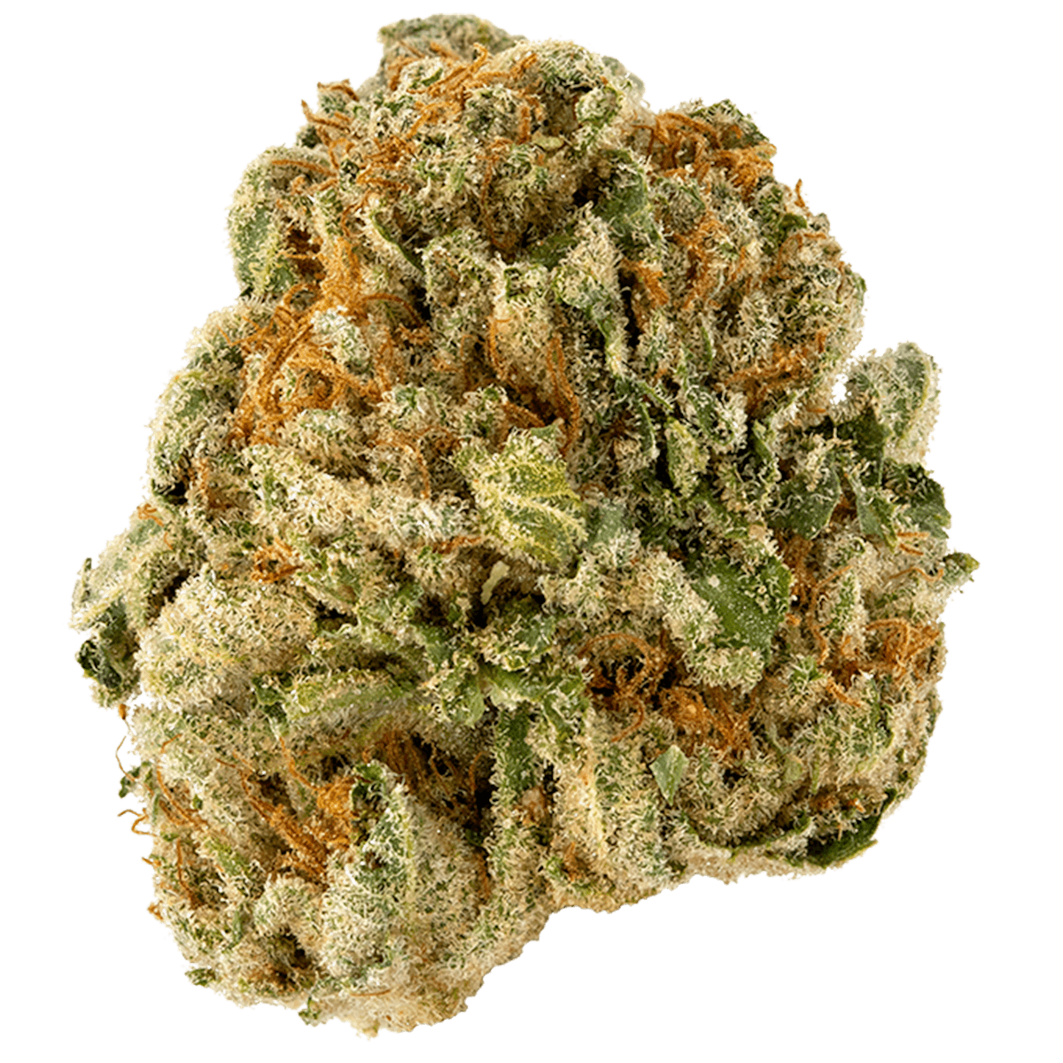 Photo of Guava Jam (Oregon Cannabis Collective)
