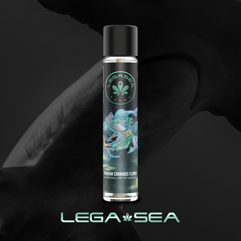 Legasea | 1g Preroll | Sherb Cream Pie